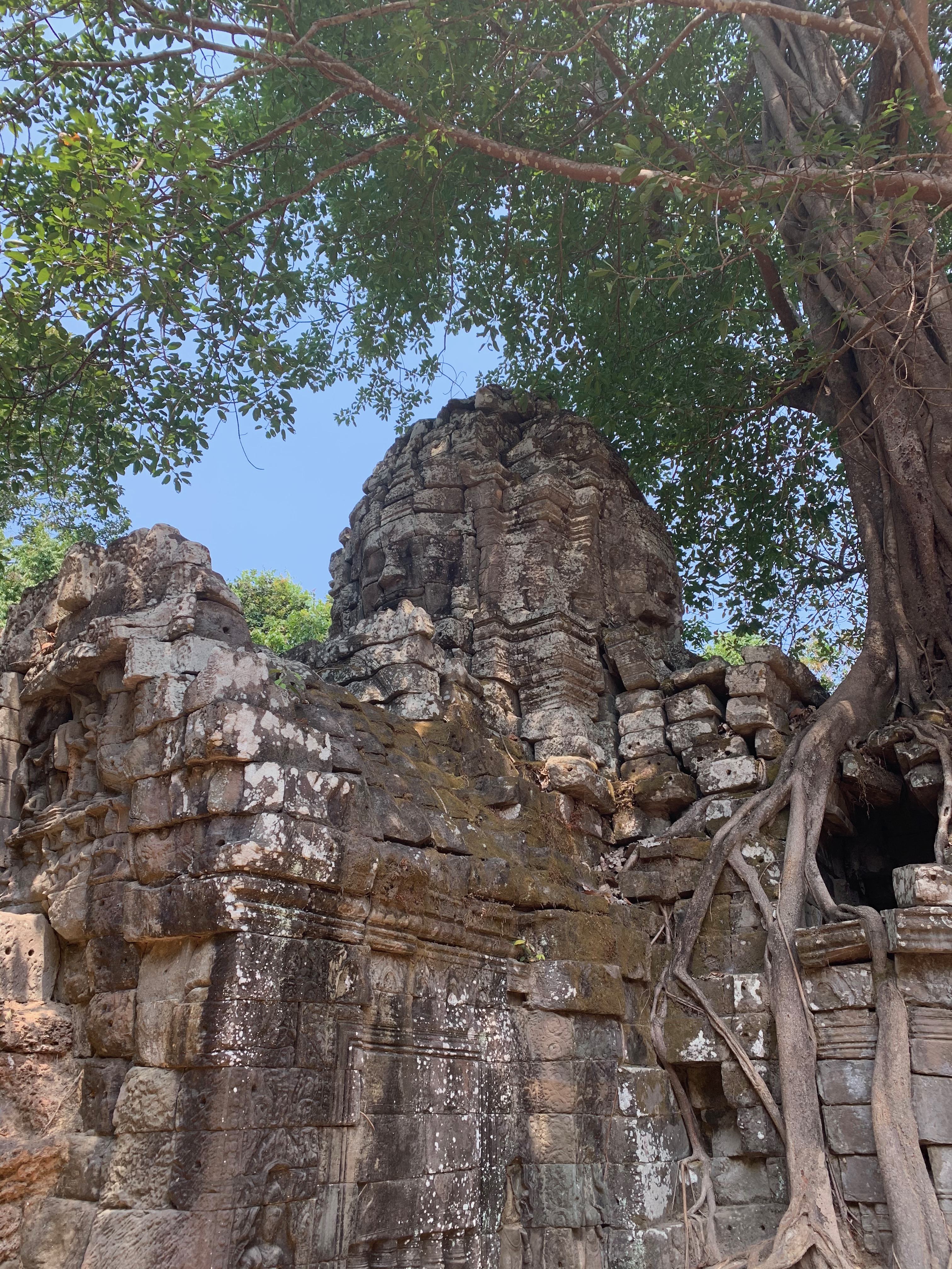 2020-03-12 Angkor tour sourire fromager - 1